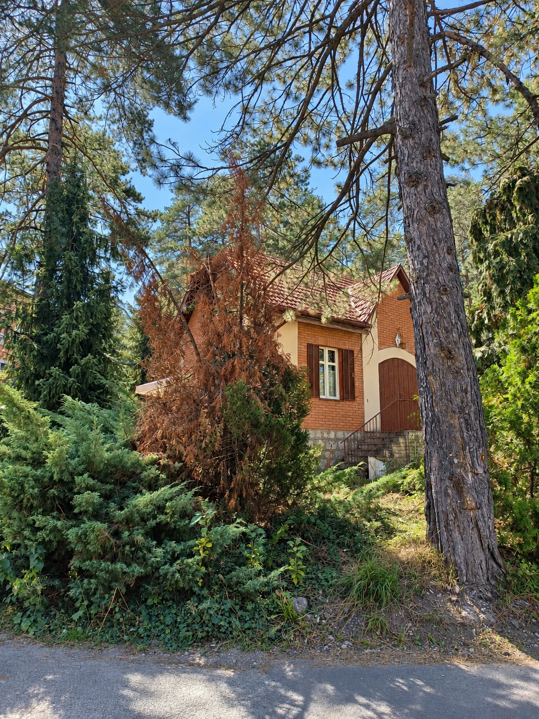 Prvo dijagnoza, zatim rešenje